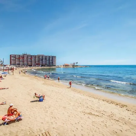 Gorgeous In With Kitchen Apartment Torrevieja